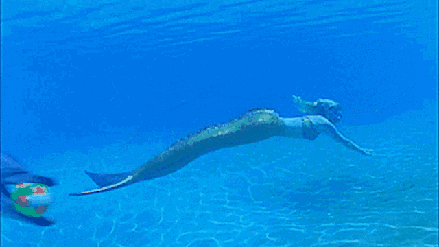 a dolphin with a tennis ball in its mouth swimming in the ocean