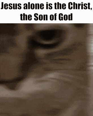 jesus alone is the christ the son of god written on a picture of a cat