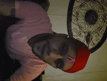 a man wearing a pink shirt and a red hat is sleeping