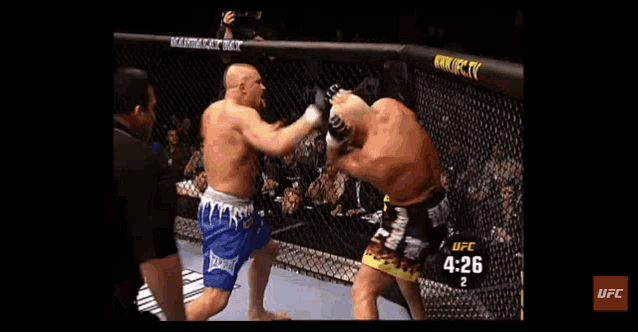 two men are fighting in a ufc ring and the time is 4:24