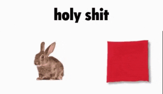 a rabbit is sitting next to a red square with the words holy shit written on it .