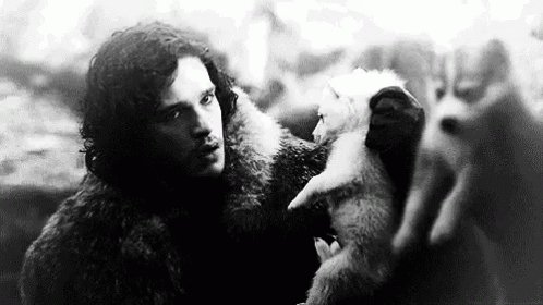 Jon Snow Wolf GIF - Jon Snow Wolf Got GIFs