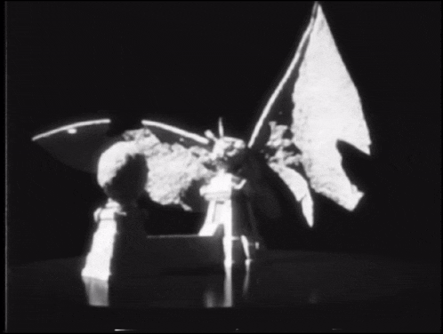 a black and white photo of a statue of a moth