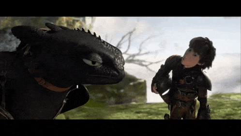 toothless and hiccup from how to train your dragon looking at each other