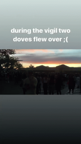 During The Vigil Two Doves GIF - During The Vigil Two Doves Flew Over GIFs