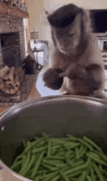 Monkey Monkey Cooking GIF - Monkey Monkey Cooking Happywithoutjt GIFs
