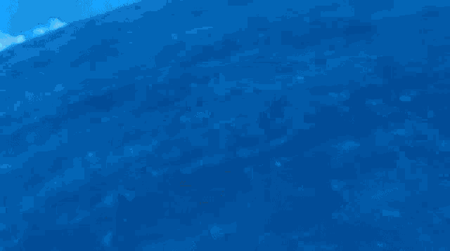 a cartoon of two people fighting in the water with a blue sky in the background .