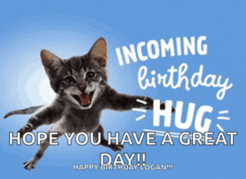 a birthday card with a cat and the words incoming birthday hug hope you have a great day logan