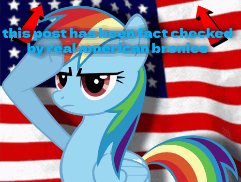 My Little Pony Rainbow Dash GIF - My Little Pony Rainbow Dash Patriot GIFs