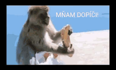 a picture of a monkey holding a piece of paper with the words mnam dopici written above it