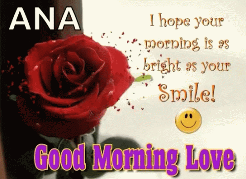 Good Morning My Love Ana GIF - Good Morning My Love Ana Red Rose GIFs