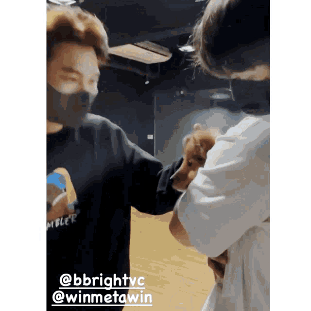 Brightwin GIF