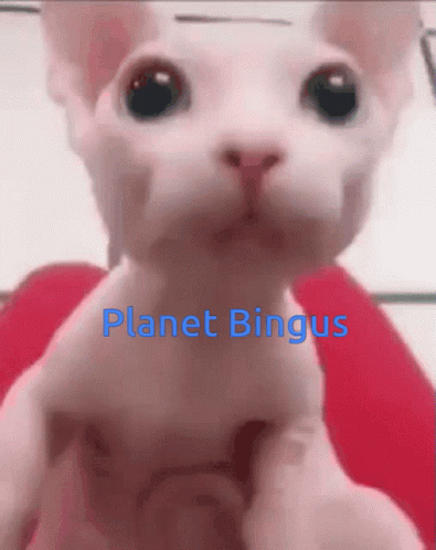 Planet Binugs GIF - Planet Binugs GIFs