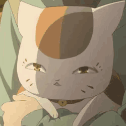 a person is holding a cat with a collar on it .