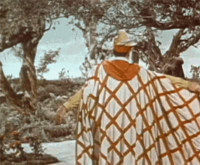 a man wearing a cape and a hat is standing in a forest