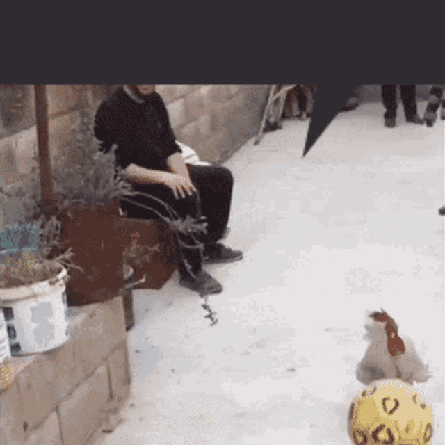 a man sits on a bench next to a yellow ball that has a heart on it