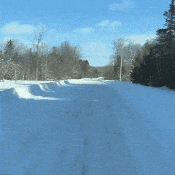 a snowy road with trees in the background on a sunny day
