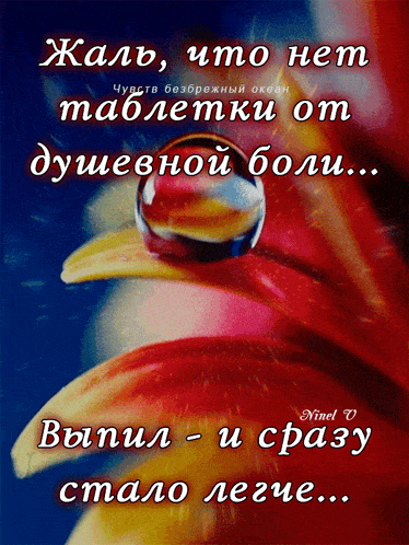 a picture of a flower with a drop of water on it with russian writing