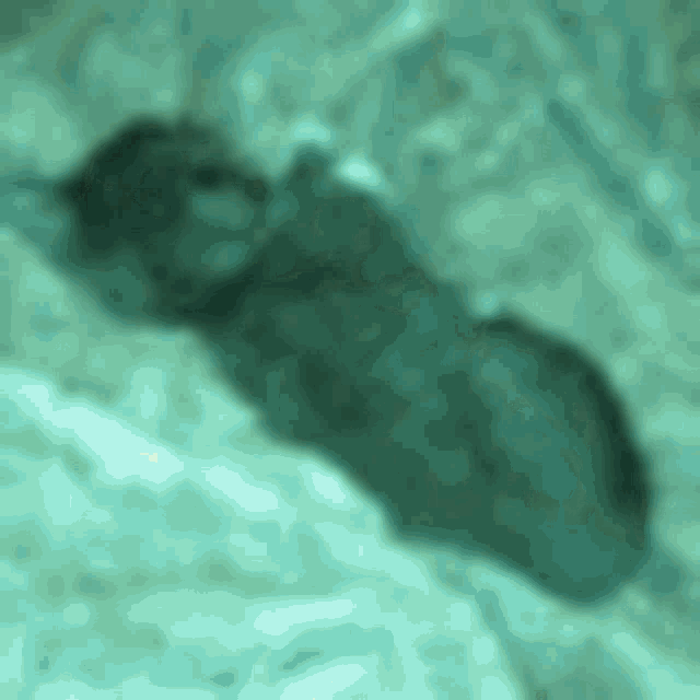 a close up of a shadow of a person on a bed .