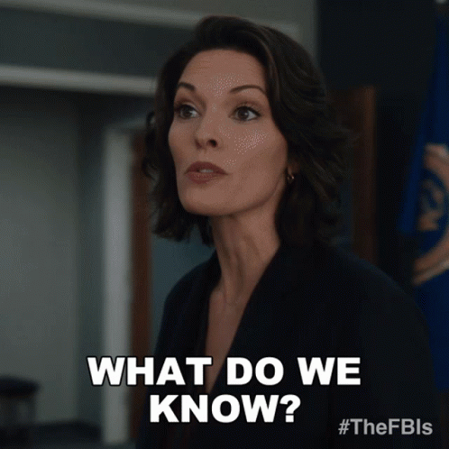 What Do We Know Isobel Castille GIF - What Do We Know Isobel Castille Fbi GIFs