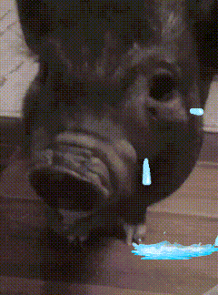 a painting of a pig with a tear coming out of it 's nose