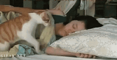 a cat is licking a woman 's face while she is sleeping on a bed .