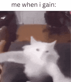 a white cat is laying on a couch with the words `` me when i gain '' written on the bottom .