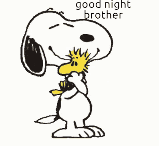 snoopy and woodstock are standing next to each other with the words good night brother above them .