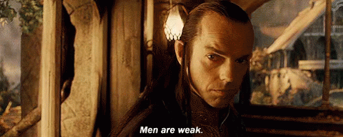 Lord Of The Rings Men GIF