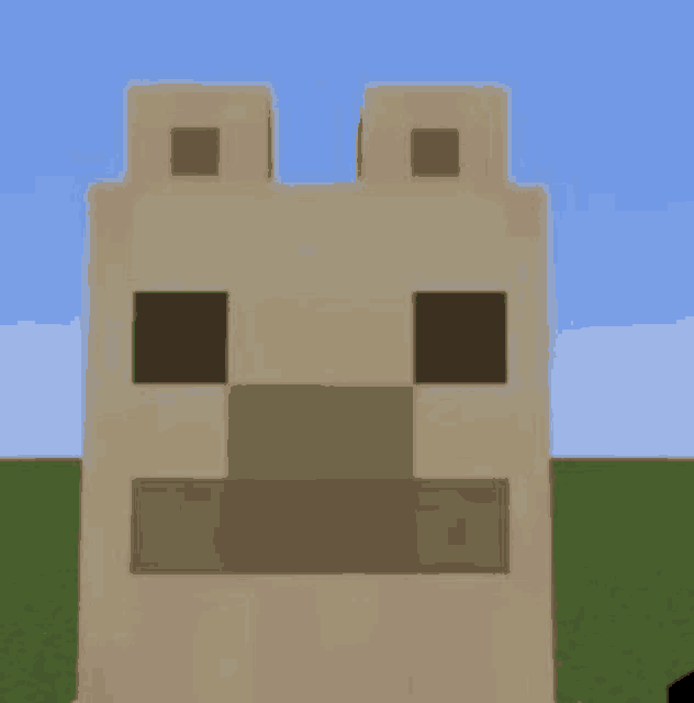 a close up of a minecraft block with a face on it