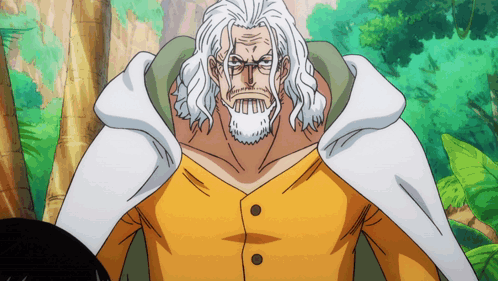 One Piece Silvers Rayleigh GIF - One Piece Silvers Rayleigh Rayleigh GIFs