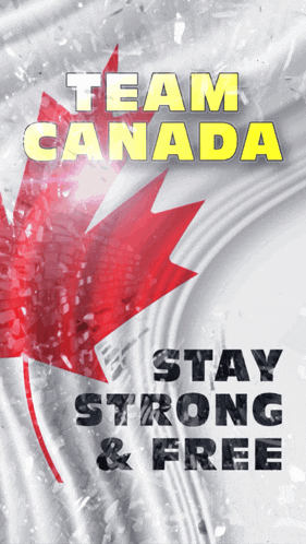 a poster with a maple leaf and the words team canada stay strong & free