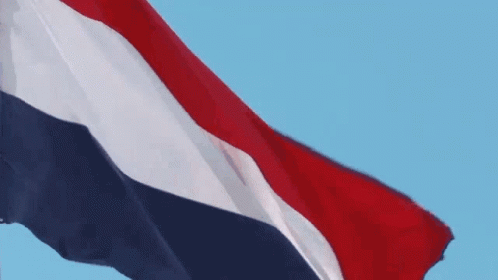 Paraguay Flag GIF - Paraguay Flag GIFs