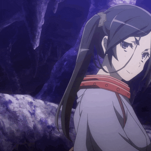 a girl in a ponytail looks at the camera