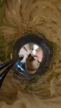 a person is eating noodles through a hole in a tire