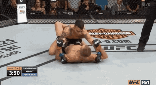 two men are wrestling in a ufc ring with a harley davidson sign in the background