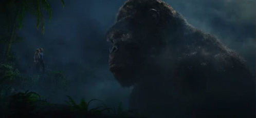 Staredown GIF - Kong Kong Movie King Kong GIFs