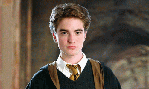 Cedric Diggory Hufflepuff GIF - Cedric Diggory Hufflepuff Robert Pattinson GIFs
