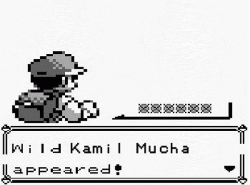 Kamil Mucha Pokemon GIF - Kamil Mucha Pokemon GIFs