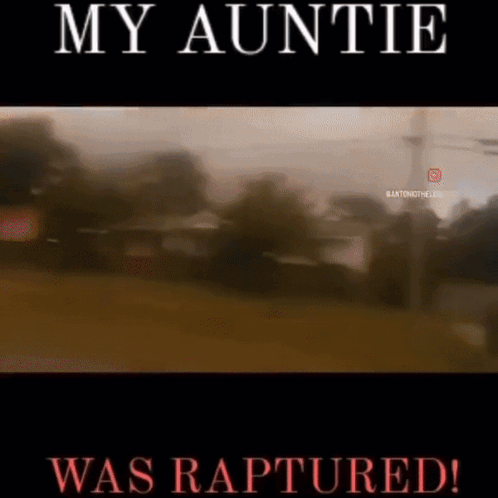 Dipole Auntie GIF - Dipole Auntie Raptured GIFs