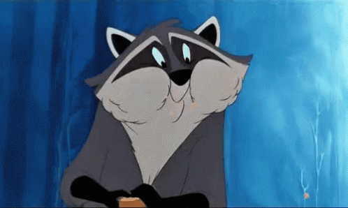 好 GIF - Raccoon Cartoon Eating GIFs