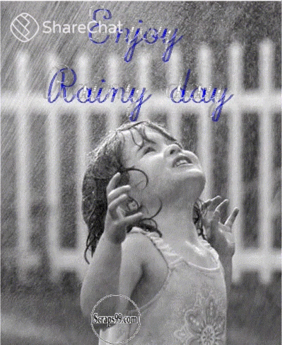 Enjoy Rainy Day Rainy Days GIF - Enjoy Rainy Day Rainy Days Rain GIFs