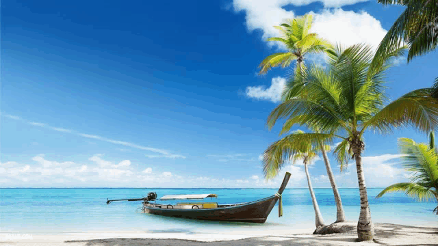 a boat sits on a beach with palm trees