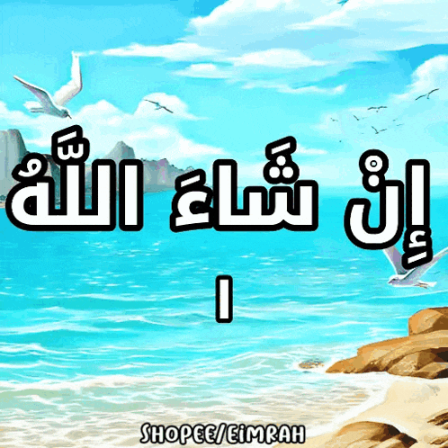 a picture of a beach with seagulls and the words shopee / eimrah on the bottom