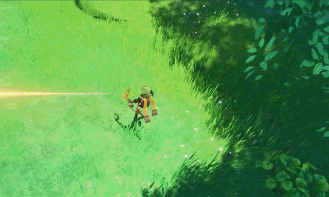 a person in a video game is standing in the grass