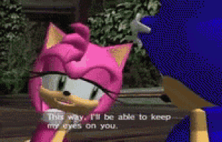 amy rose from sonic the hedgehog is talking to sonic in a video game