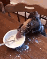 a cat is sitting on a wooden table next to a bowl of food and a spoon .