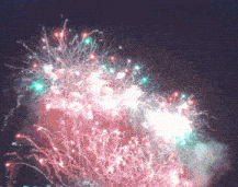 a bunch of fireworks in the night sky