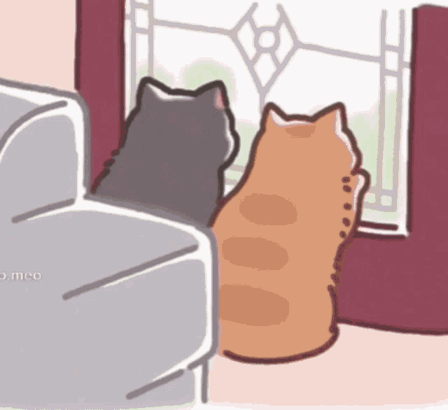 Hyejinsgenre Cute Cats GIF - Hyejinsgenre Cute Cats Cute Cat Couple GIFs