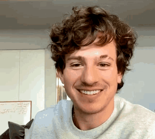 a man with curly hair is smiling and wearing a grey sweater